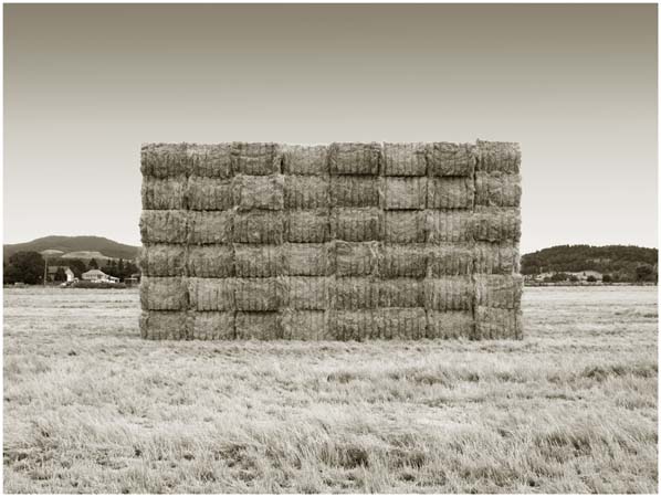 galloway2