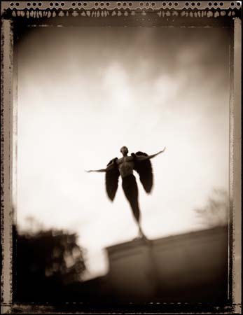 olson