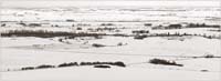 galloway1