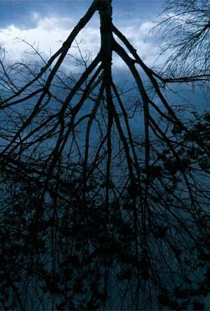 oregon-garden-reflection