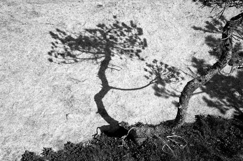 2003 shadow dance 03