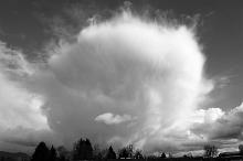 Poof! Cumulus