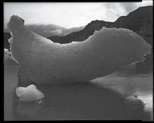 glacier-bay-09-platinotypes